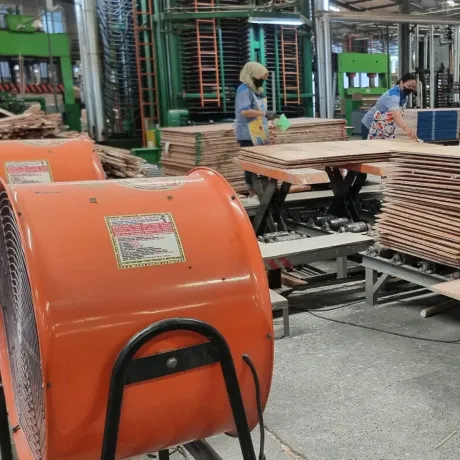 Veneer Assembling Line — Cooling Section