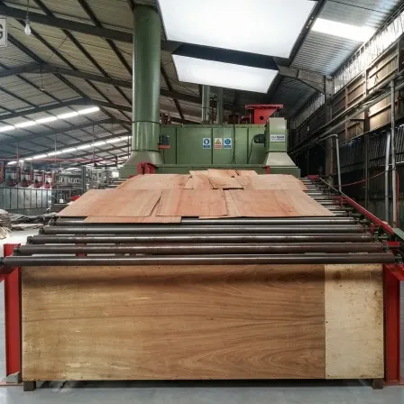 Veneer Drying Line