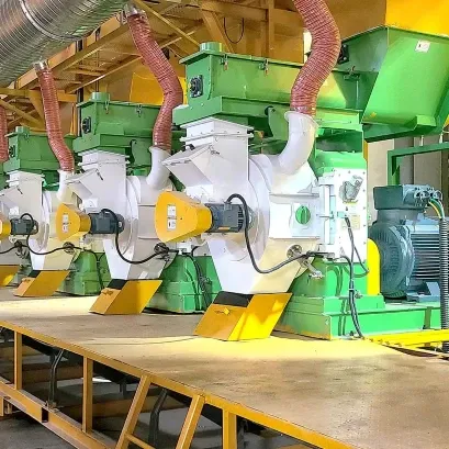Biomass pellet production and renewable energy plant
