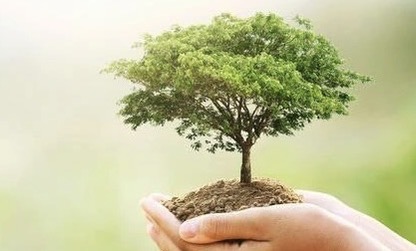 ESG Commitment