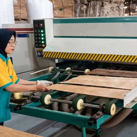 Plywood Assembling Line