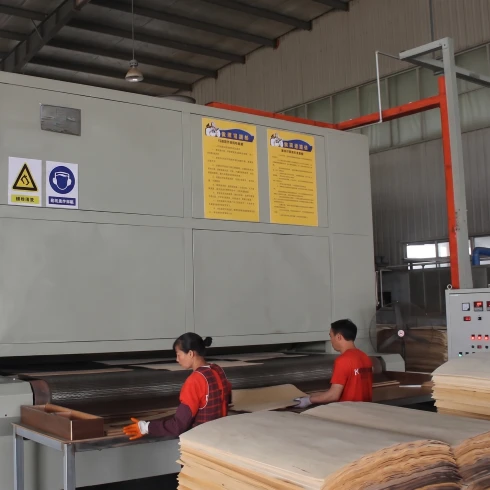 Veneer Wire Mesh Dryer — Output Section